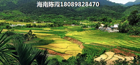 海南陵水周邊樓盤推薦