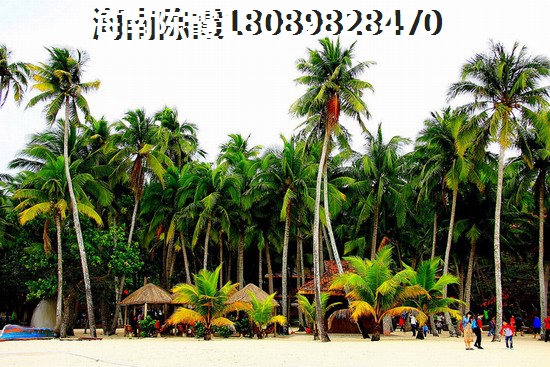 海南儋州市氣候潮濕嗎？